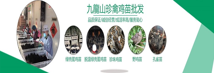 湖南九龙山珍禽集团昆明分公司